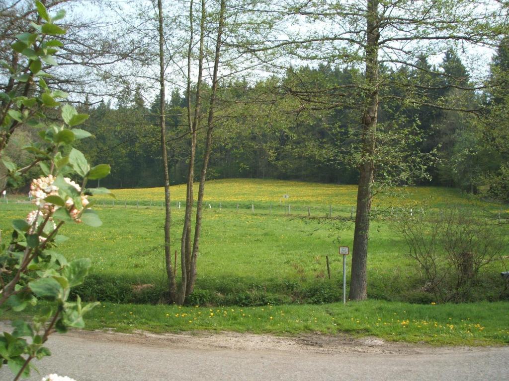 Gasthof&Landhotel Ohrnbachtal Weilbach Exterior foto