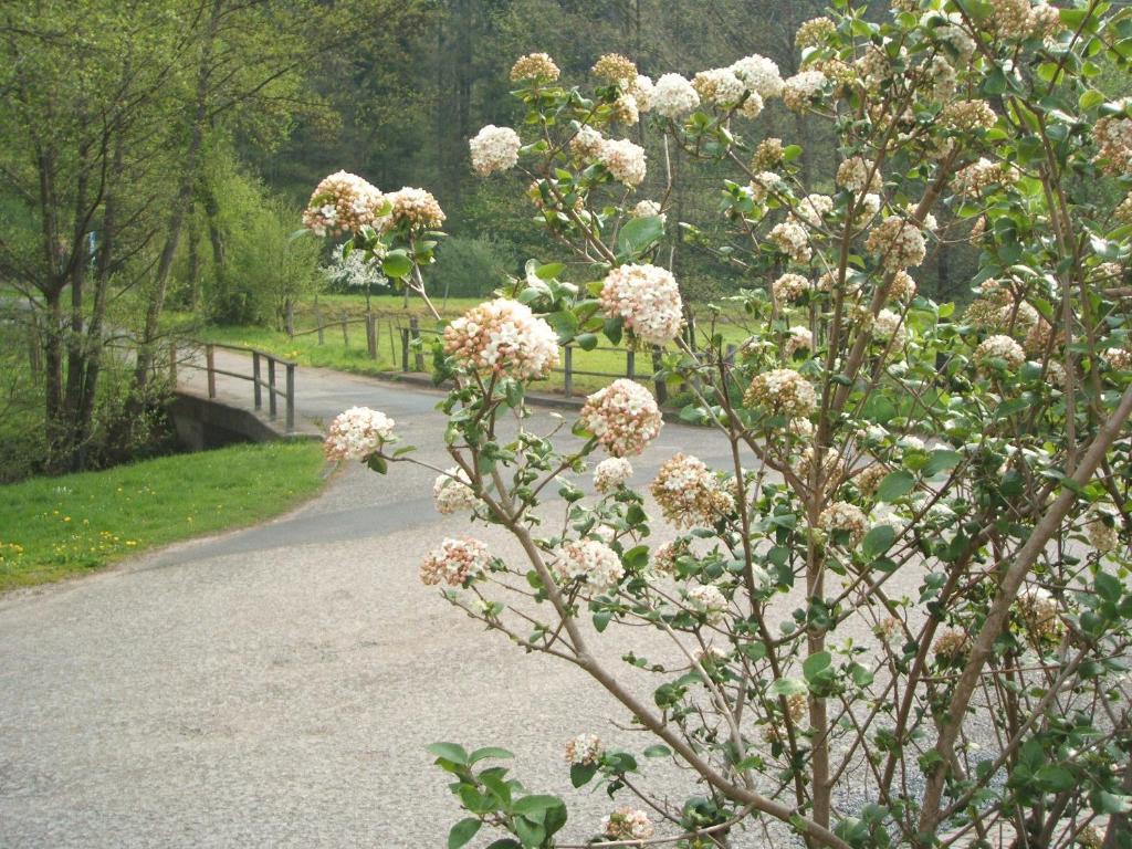 Gasthof&Landhotel Ohrnbachtal Weilbach Exterior foto